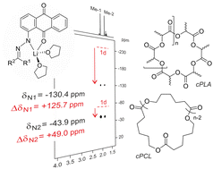 Graphical abstract: Lithium anthraquinoids as catalysts in the ROP of lactide and caprolactone into cyclic polymers