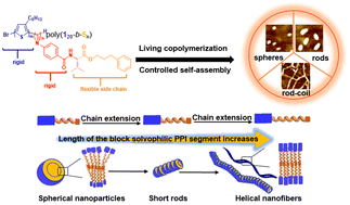 Graphical abstract: Synthesis of poly(3-hexylthiophene)-block-poly(phenylisocyanide) copolymers and their self-assembly in solution