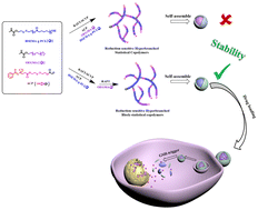 Graphical abstract: Facile synthesis and self-assembly behaviors of biodegradable amphiphilic hyperbranched copolymers with reducible poly(caprolactone) grafts