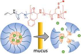 Graphical abstract: Exploring the potential of polypeptide–polypeptoide hybrid nanogels for mucosal delivery