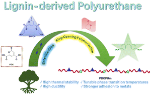 Graphical abstract: Polyurethanes based on lignin-derived metabolic intermediate with strong adhesion to metals