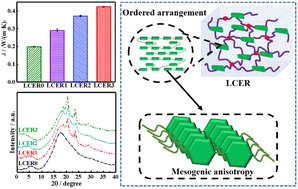 Graphical abstract: Enhancing intrinsic thermal conductivities of epoxy resins by introducing biphenyl mesogen-containing liquid crystalline co-curing agents