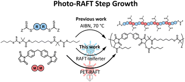 Graphical abstract: Photomediated RAFT step-growth polymerization with maleimide monomers