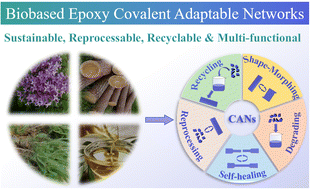 Graphical abstract: Progress in the design and synthesis of biobased epoxy covalent adaptable networks