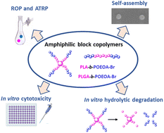 Graphical abstract: Novel degradable amphiphilic 4-arm star PLA-b-POEOA and PLGA-b-POEOA block copolymers: synthesis, characterization and self-assembly