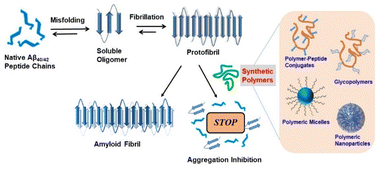 Graphical abstract: Bioinspired synthetic polymers-based inhibitors of Alzheimer's amyloid-β peptide aggregation