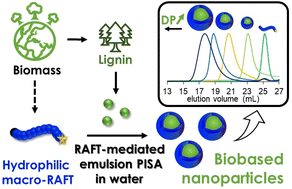 Graphical abstract: Biobased homopolymers and amphiphilic diblock copolymers containing guaiacyl (G) or hydroxyphenyl (H) lignin derivatives synthesized by RAFT (PISA)