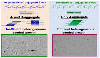 Graphical abstract: Synthesis and living crystallization-driven self-assembly of backbone asymmetric and symmetric π-conjugated oligo(p-phenylene ethynylene)-based block copolymers