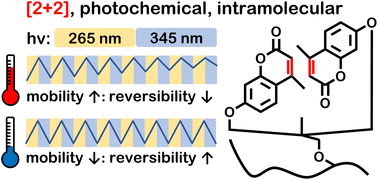 Graphical abstract: Enhancing the photochemical reversibility of coumarin-containing polymers by molecular orientation control