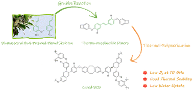 Graphical abstract: Constructing low-k polymers at high frequency from two propenyl-containing biomasses through the grubbs reaction