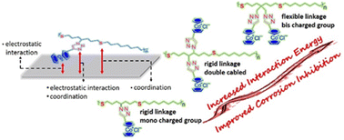 Graphical abstract: Rational design of cobaltocenium-containing polythioether type metallo-polyelectrolytes as HCl corrosion inhibitors for mild steel