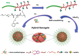 Graphical abstract: A self-crosslinking nanogel scaffold for enhanced catalytic efficiency and stability