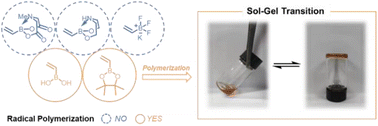 Graphical abstract: Vinyl boronate polymers with dynamic exchange properties