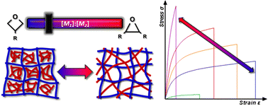 Graphical abstract: Controlling network morphology in hybrid radical/cationic photopolymerized systems