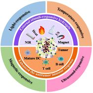 Graphical abstract: Stimuli-responsive hydrogels for cancer immunotherapy