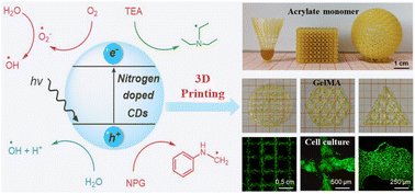 Graphical abstract: Nitrogen-doped carbon dots as visible light initiators for 3D (bio)printing