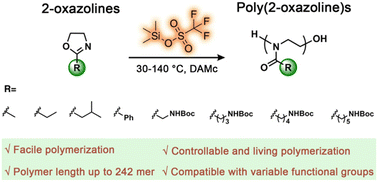 Graphical abstract: Controllable and facile synthesis of poly(2-oxazoline)s using trimethylsilyl trifluoromethanesulfonate as the initiator