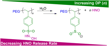 Graphical abstract: Poly(Piloty's acid): a slow releasing macromolecular HNO donor