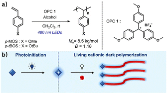 Graphical abstract: Visible light-initiated living cationic dark polymerization