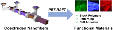 Graphical abstract: PET-RAFT to expand the surface-modification chemistry of melt coextruded nanofibers