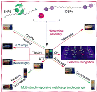 Graphical abstract: A multi-stimuli-responsive metallosupramolecular gel based on pillararene hierarchical assembly