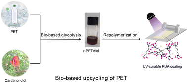 Graphical abstract: Bio-based upcycling of poly(ethylene terephthalate) waste to UV-curable polyurethane acrylate