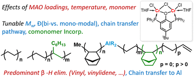 Graphical abstract: A tridentate phenoxy-phosphine (POP) divalent chromium complex and its reactivities in olefin polymerization