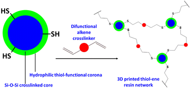 Graphical abstract: One pot synthesis of thiol-functional nanoparticles