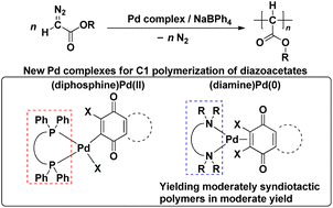 Graphical abstract: Initiating abilities of diphosphine- and diamine-ligated Pd complexes/NaBPh4 systems for C1 polymerization of diazoacetates