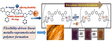 Graphical abstract: Flexibility-driven 1D-structural preference in a bis-terpyridine-Fe(ii)-metallo-supramolecular polymer possessing potential tricolor electrochromism