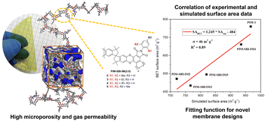 Graphical abstract: Polymers of intrinsic microporosity containing aryl-phthalimide moieties: synthesis, modeling, and membrane gas transport properties