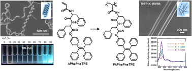 Graphical abstract: Synthesis and self-assembly of a diphenylalanine–tetraphenylethylene hybrid monomer and RAFT polymers with aggregation-induced emission