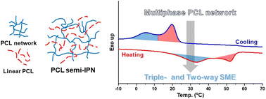 Graphical abstract: Multiphase PCL semi-interpenetrating networks exhibiting the triple- and stress-free two-way shape memory effect