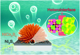 Graphical abstract: Engineering thiospinel-based hollow heterostructured nanoarrays for boosting electrocatalytic oxygen evolution reaction