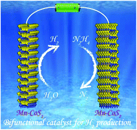 Graphical abstract: Accelerating hydrazine-assisted hydrogen production kinetics with Mn dopant modulated CoS2 nanowire arrays