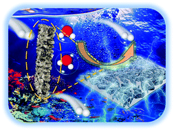 Graphical abstract: Phosphorus doped two-dimensional CoFe2O4 nanobelts decorated with Ru nanoclusters and Co–Fe hydroxide as efficient electrocatalysts toward hydrogen generation