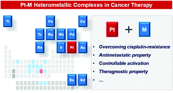 Graphical abstract: Platinum-containing heterometallic complexes in cancer therapy: advances and perspectives
