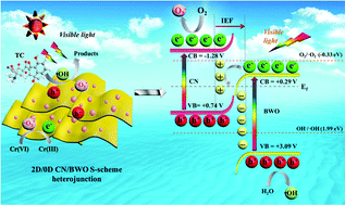 Graphical abstract: In situ construction of a C3N5 nanosheet/Bi2WO6 nanodot S-scheme heterojunction with enhanced structural defects for the efficient photocatalytic removal of tetracycline and Cr(vi)