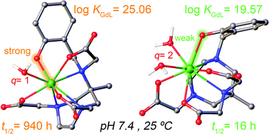 Graphical abstract: The critical role of ligand topology: strikingly different properties of Gd(iii) complexes with regioisomeric AAZTA derivatives