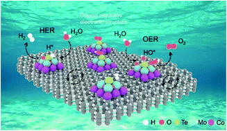 Graphical abstract: Electronic modulation of cobalt–molybdenum oxide via Te doping embedded in a carbon matrix for superior overall water splitting