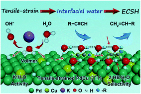 Graphical abstract: Regulating the interfacial water structure by tensile strain to boost electrochemical semi-hydrogenation of alkynes