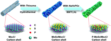 Graphical abstract: Synergistic effect of S vacancies and P dopants in MoS2/Mo2C to promote electrocatalytic hydrogen evolution