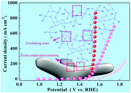 Graphical abstract: Phytic acid assisted ultra-fast in situ construction of Ni foam-supported amorphous Ni–Fe phytates to enhance catalytic performance for the oxygen evolution reaction