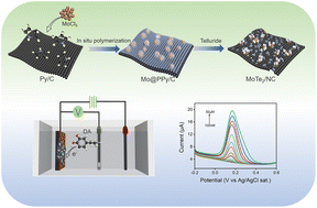 Graphical abstract: In situ polymerization confinement synthesis of ultrasmall MoTe2 nanoparticles for the electrochemical detection of dopamine