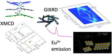 Graphical abstract: Towards large area surface functionalization with luminescent and magnetic lanthanoid complexes