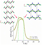 Graphical abstract: NaCo2(SeO3)2(OH): competing magnetic ground states of a new sawtooth structure with 3d7 Co2+ ions