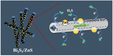 Graphical abstract: Bi2S3/ZnS heterostructures for H2S sensing in the dark: the synergy of increased surface-adsorbed oxygen and charge transfer