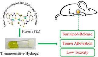 Graphical abstract: Dithiocarbazate-copper complex loaded thermosensitive hydrogel for lung cancer therapy via tumor in situ sustained-release