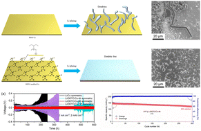 Graphical abstract: Achieving a dendrite-free lithium metal anode through lithiophilic surface modification with sodium diethyldithiocarbamate