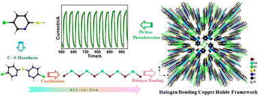 Graphical abstract: A halogen bonding assembled hybrid copper halide framework as a promising hypotoxicity photodetector